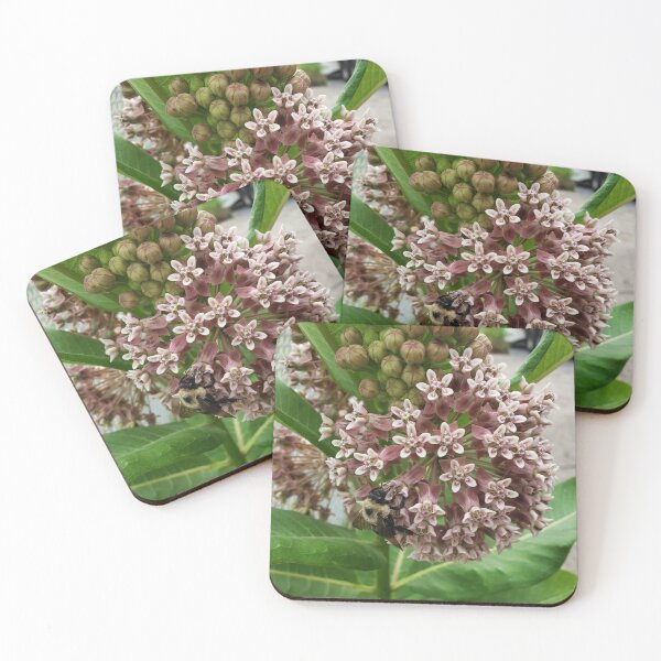Item preview, Bumblebee on Pavementplant Milkweed designed and sold by concretebotany.