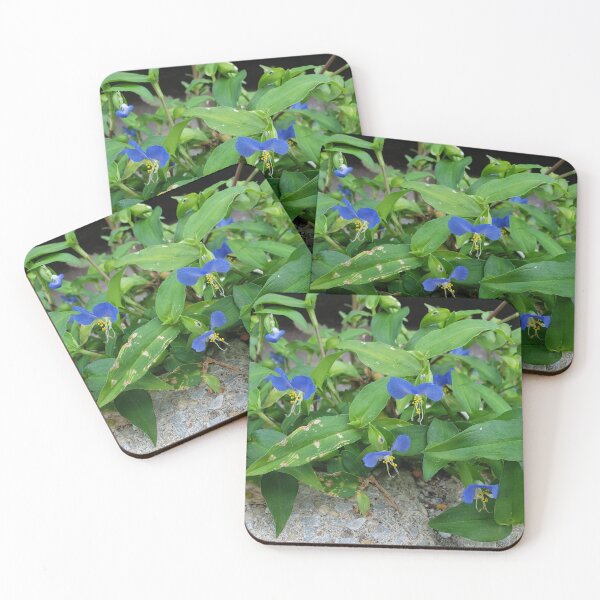 Item preview, Asiatic Dayflower Growing from a Sidewalk Curb designed and sold by concretebotany.