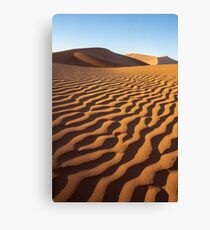 Orange sand hills. Canvas Print