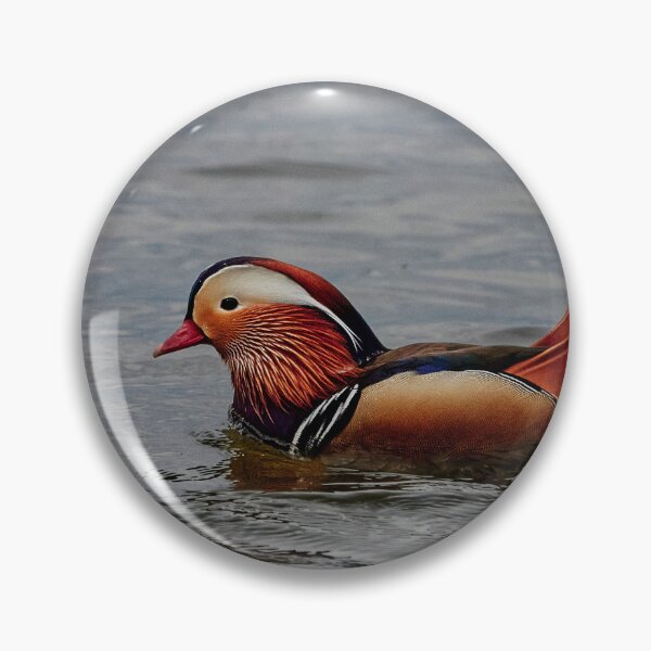 Item preview, Mandarin Splendour designed and sold by Eidetic Photos.