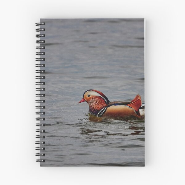 Item preview, Mandarin Splendour designed and sold by Eidetic Photos.