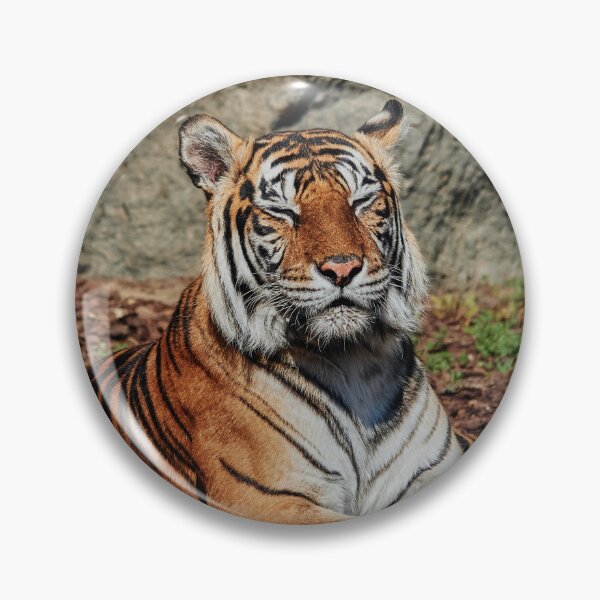 Item preview, Snoozing Sumatran designed and sold by Eidetic Photos.