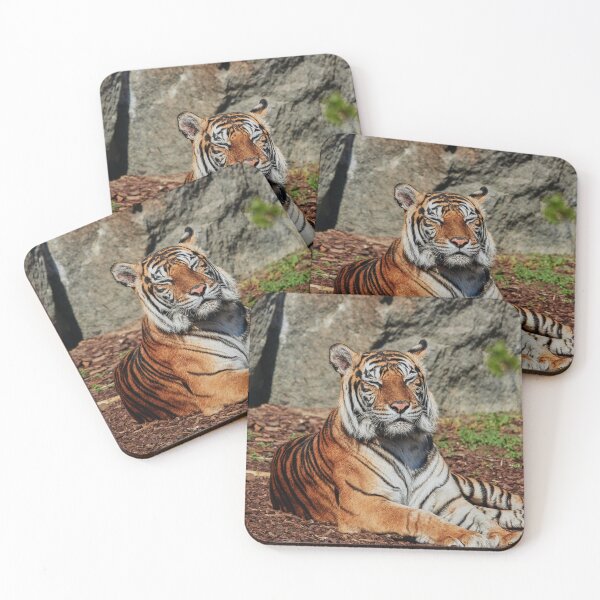 Item preview, Snoozing Sumatran designed and sold by Eidetic Photos.