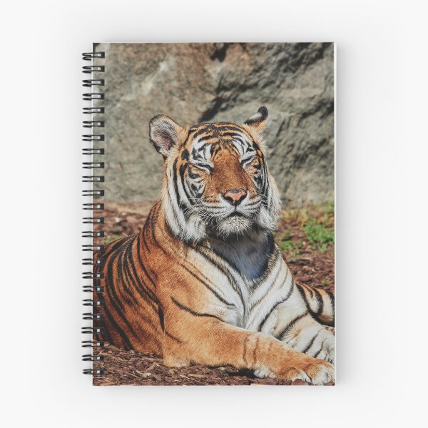 Item preview, Snoozing Sumatran designed and sold by Eidetic Photos.