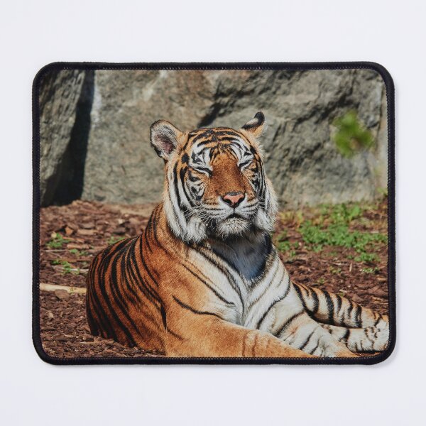 Item preview, Snoozing Sumatran designed and sold by Eidetic Photos.