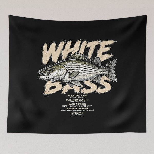 Item preview, White bass illustration with scientific details designed and sold by rafaeltto.