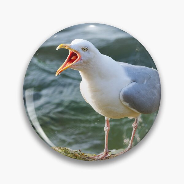 Item preview, Herring Gull Squawking whilst Perched on a Rock by the Sea designed and sold by Dorset Girl.