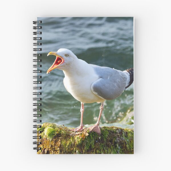 Item preview, Herring Gull Squawking whilst Perched on a Rock by the Sea designed and sold by Dorset Girl.