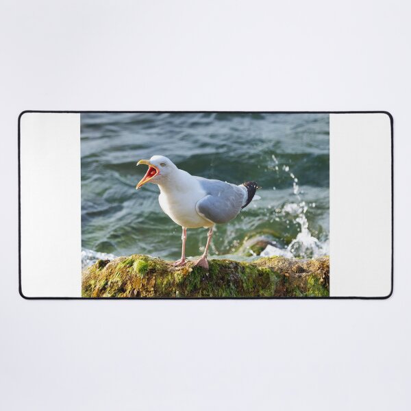 Item preview, Herring Gull Squawking whilst Perched on a Rock by the Sea designed and sold by Dorset Girl.