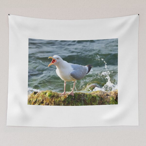 Item preview, Herring Gull Squawking whilst Perched on a Rock by the Sea designed and sold by Dorset Girl.
