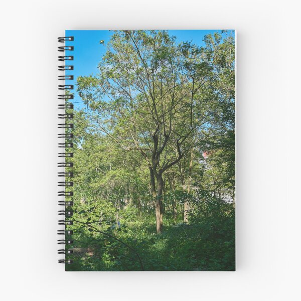 Item preview, Neighbourhood Garden designed and sold by Eidetic Photos.