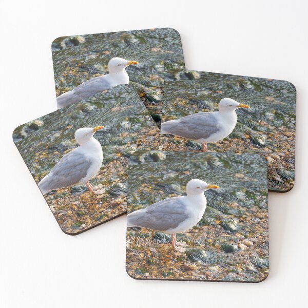 Item preview, Herring Gull at the Mouth of the River Lim at Lyme Regis Dorset designed and sold by Dorset Girl.