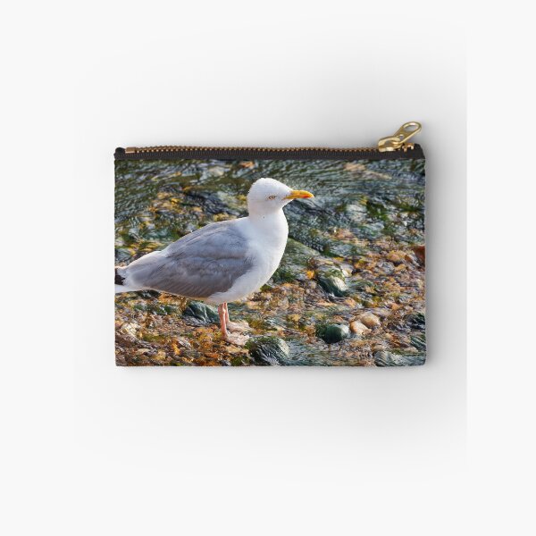 Item preview, Herring Gull at the Mouth of the River Lim at Lyme Regis Dorset designed and sold by Dorset Girl.