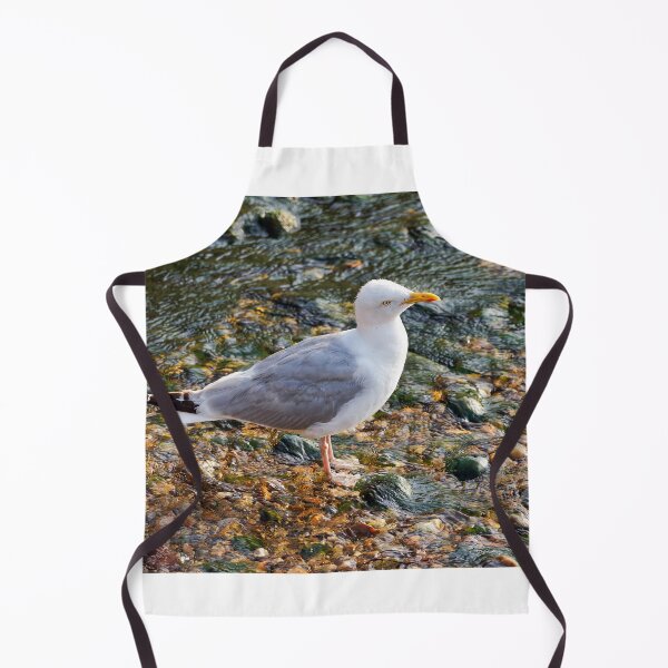 Item preview, Herring Gull at the Mouth of the River Lim at Lyme Regis Dorset designed and sold by Dorset Girl.