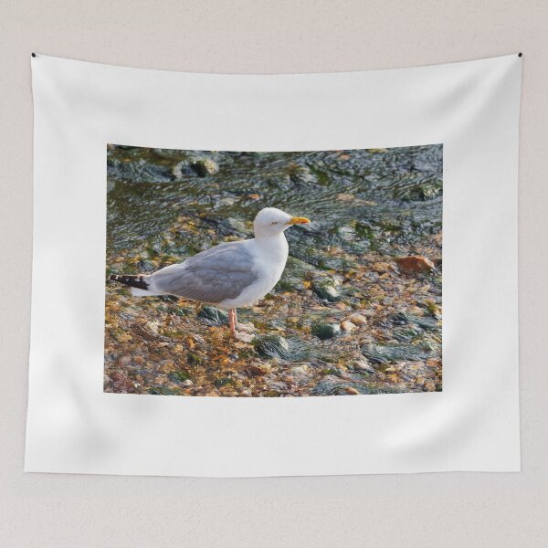 Item preview, Herring Gull at the Mouth of the River Lim at Lyme Regis Dorset designed and sold by Dorset Girl.