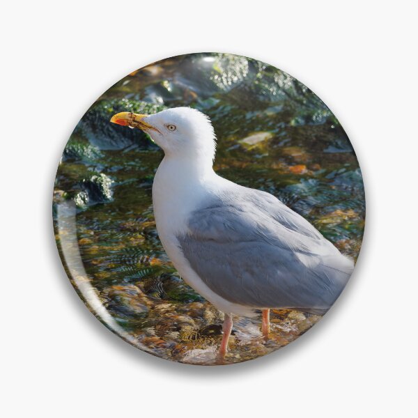 Item preview, Herring Gull at the Mouth of the River Lim at Lyme Regis Dorset designed and sold by Dorset Girl.