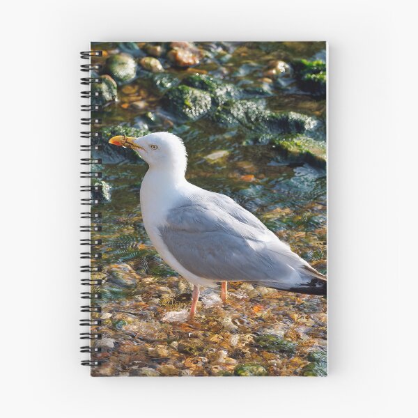 Item preview, Herring Gull at the Mouth of the River Lim at Lyme Regis Dorset designed and sold by Dorset Girl.