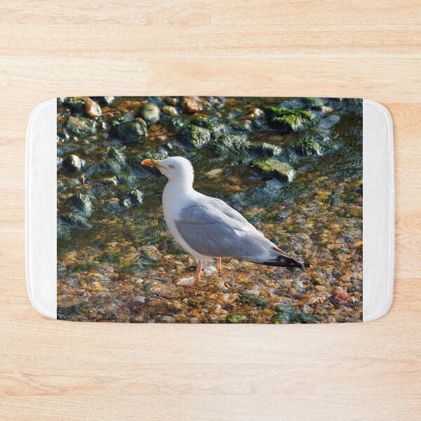 Item preview, Herring Gull at the Mouth of the River Lim at Lyme Regis Dorset designed and sold by Dorset Girl.
