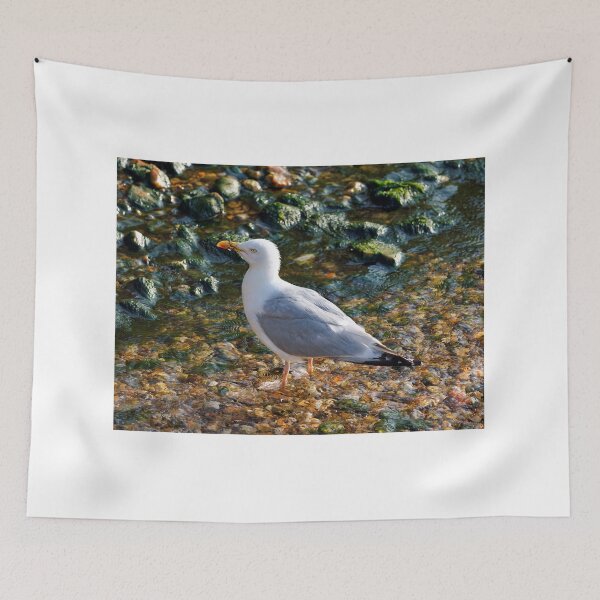 Item preview, Herring Gull at the Mouth of the River Lim at Lyme Regis Dorset designed and sold by Dorset Girl.
