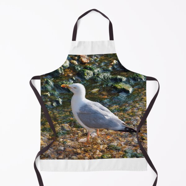Item preview, Herring Gull at the Mouth of the River Lim at Lyme Regis Dorset designed and sold by Dorset Girl.