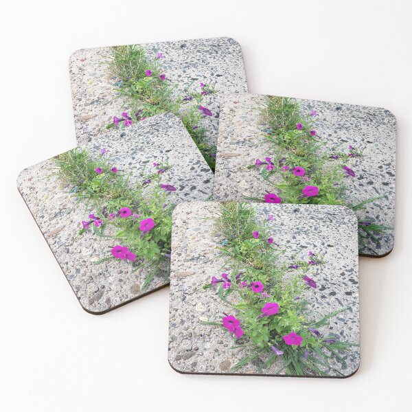 Item preview, Petunias in a Pavement Crack designed and sold by concretebotany.