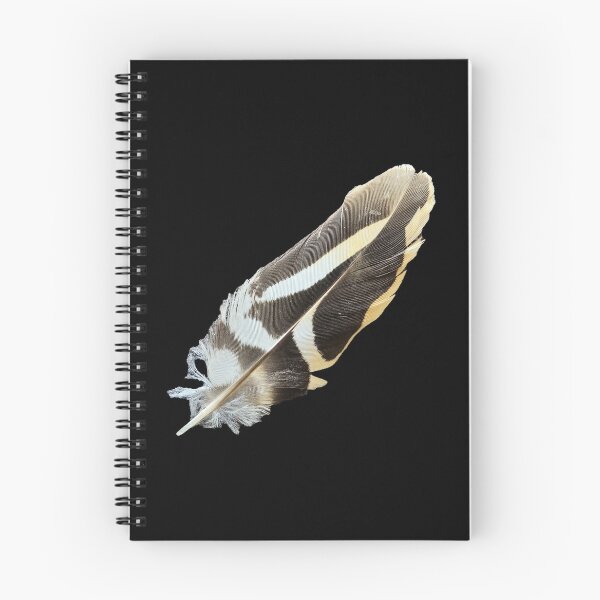 Item preview, Isolated Striped Hoopoe Bird Feather on Black designed and sold by Yanshuf.