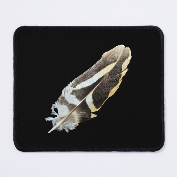 Item preview, Isolated Striped Hoopoe Bird Feather on Black designed and sold by Yanshuf.
