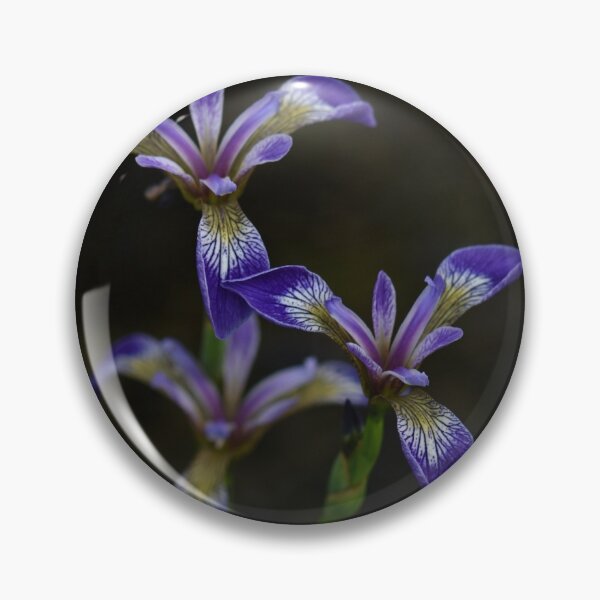 Item preview, Blue irises  designed and sold by SuesImages.