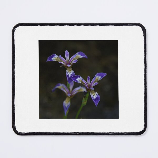 Item preview, Blue irises  designed and sold by SuesImages.