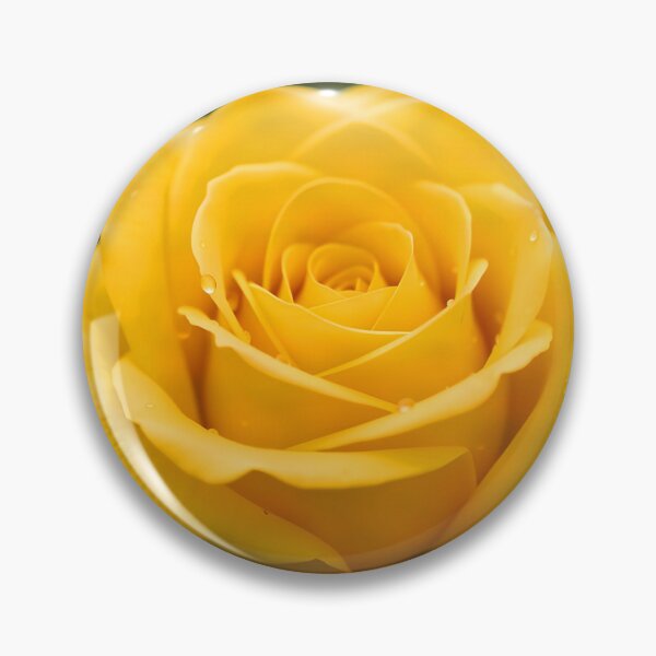 Item preview, Yellow Rose Close-Up – Photorealistic Aesthetic Flower designed and sold by EmeraldeaArt.