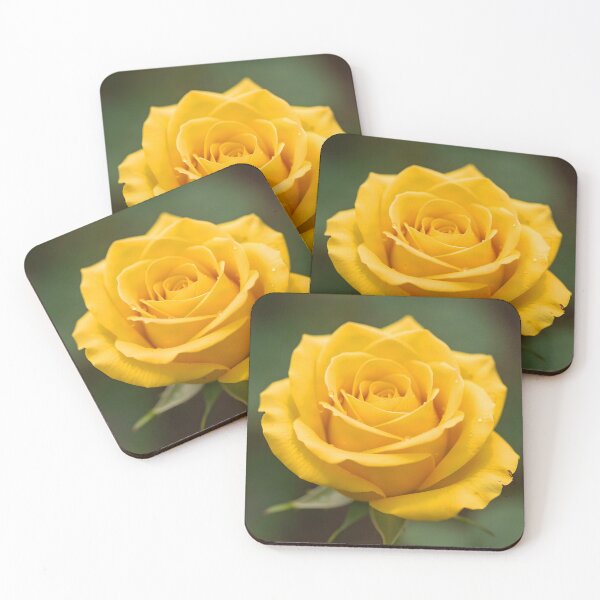 Item preview, Yellow Rose Close-Up – Photorealistic Aesthetic Flower designed and sold by EmeraldeaArt.