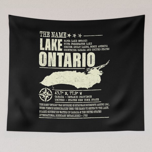 Item preview, Lake America Funny Ontario USA Canada Graphic designed and sold by schoolofbullies.