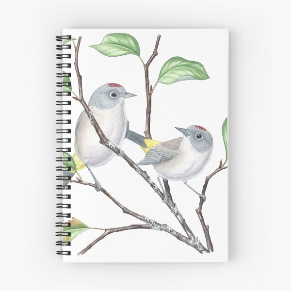 Item preview, Colima Warbler (Leiothlypis crissalis) designed and sold by JadaFitch.