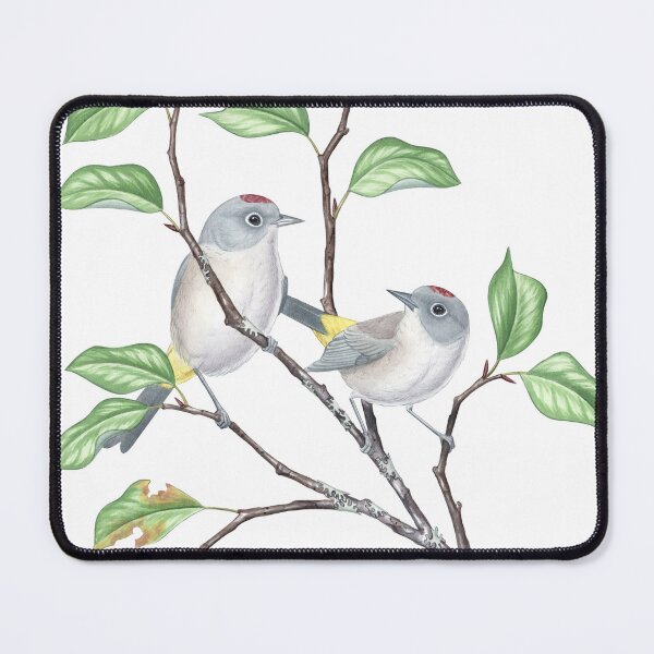 Item preview, Colima Warbler (Leiothlypis crissalis) designed and sold by JadaFitch.