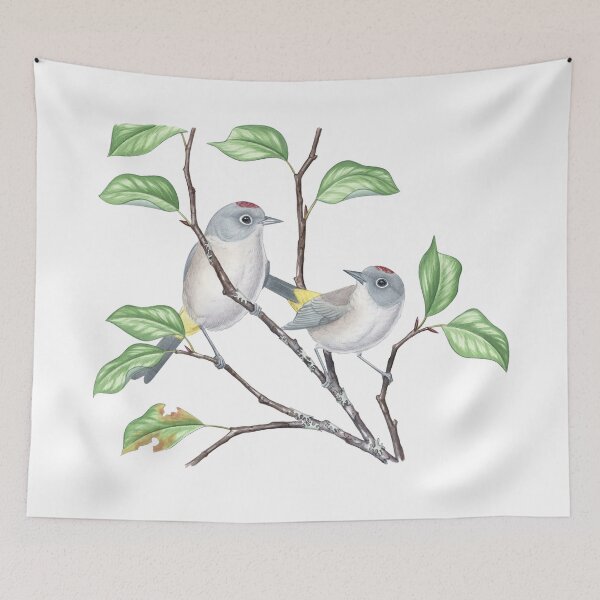 Item preview, Reinita de Colima (Leiothlypis crissalis) designed and sold by JadaFitch.