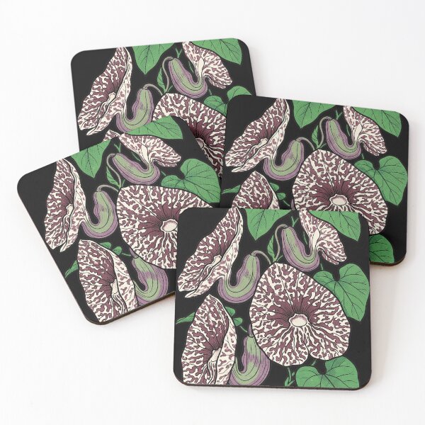 Item preview, Aristolochia Littoralis - Calico Flower Pop Art Botanical Print designed and sold by FreiherrPK.