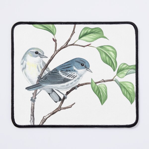 Item preview, Cerulean Warbler (Setophaga cerulea) designed and sold by JadaFitch.
