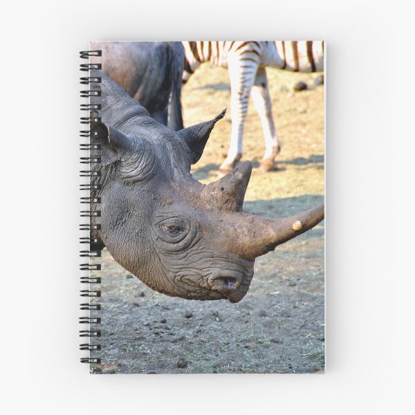 Item preview, African White Rhinoceros Rhino South Africa designed and sold by AndyEvansPhotos.