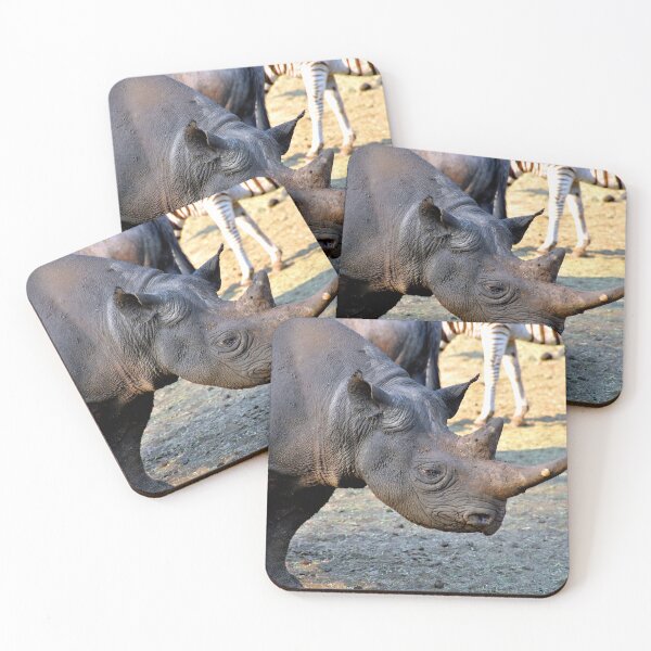 Item preview, African White Rhinoceros Rhino South Africa designed and sold by AndyEvansPhotos.