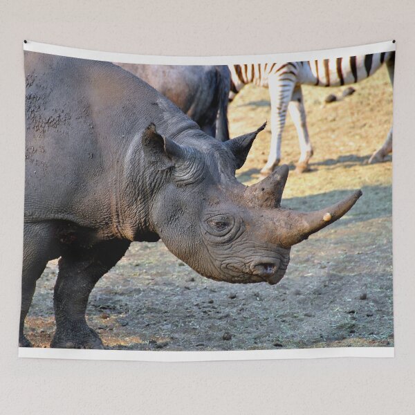 Item preview, African White Rhinoceros Rhino South Africa designed and sold by AndyEvansPhotos.
