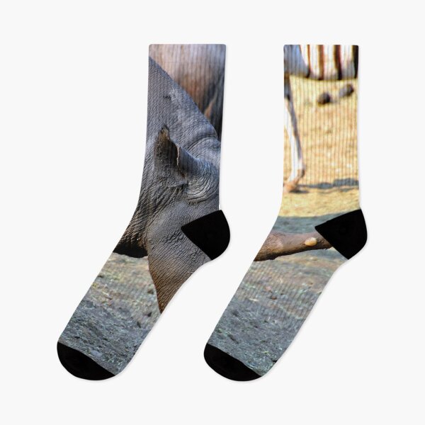 Item preview, African White Rhinoceros Rhino South Africa designed and sold by AndyEvansPhotos.