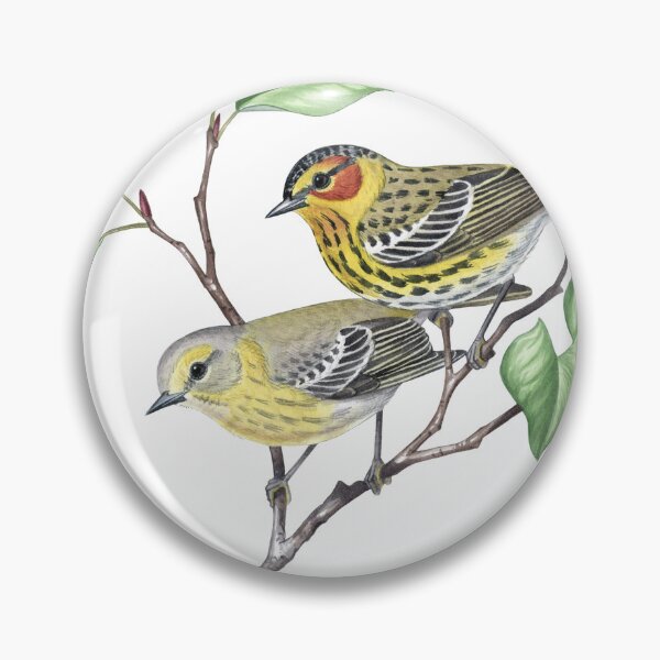 Item preview, Cape May Warbler  (Setophaga tigrina) designed and sold by JadaFitch.