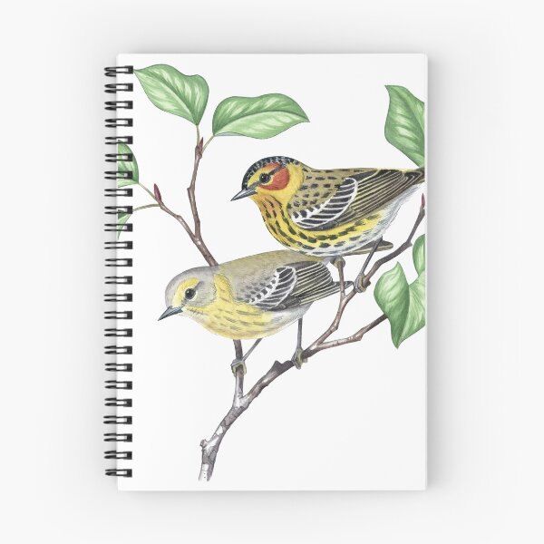 Item preview, Cape May Warbler  (Setophaga tigrina) designed and sold by JadaFitch.