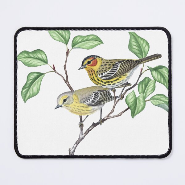 Item preview, Cape May Warbler (Setophaga tigrina) designed and sold by JadaFitch.