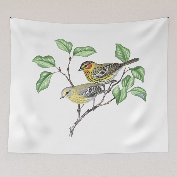 Item preview, Cape May Warbler  (Setophaga tigrina) designed and sold by JadaFitch.