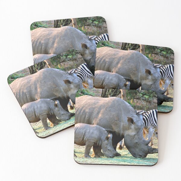 Item preview, African White Rhinoceros Rhino South Africa designed and sold by AndyEvansPhotos.