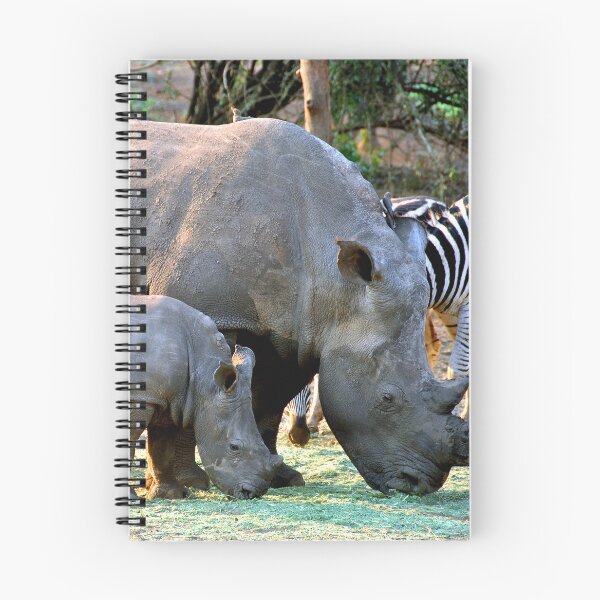 Item preview, African White Rhinoceros Rhino South Africa designed and sold by AndyEvansPhotos.