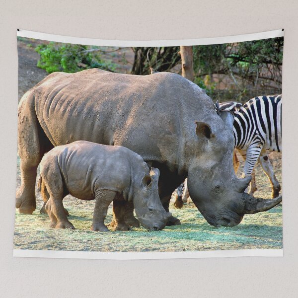 Item preview, African White Rhinoceros Rhino South Africa designed and sold by AndyEvansPhotos.