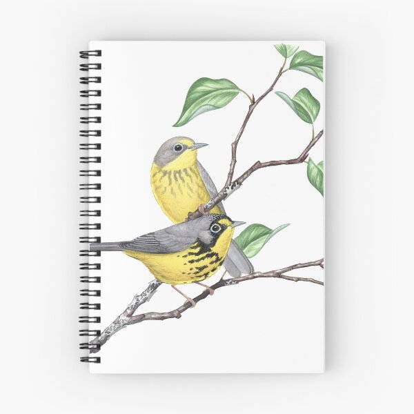 Item preview, Canada Warbler (Cardellina canadensis) designed and sold by JadaFitch.