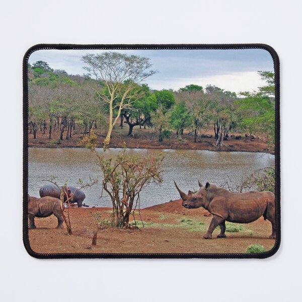 Item preview, African White Rhinoceros Rhino South Africa designed and sold by AndyEvansPhotos.